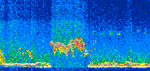 /calipso-imagery/data/BROWSE/production/V5-00/2011-10-17/2011-10-17_15-26-06_V5.00_2_thmb.png image missing
