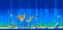 /calipso-imagery/data/BROWSE/production/V5-00/2011-10-20/2011-10-20_01-06-49_V5.00_3_thmb.png image missing