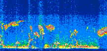 /calipso-imagery/data/BROWSE/production/V5-00/2011-10-20/2011-10-20_15-56-41_V5.00_3_thmb.png image missing