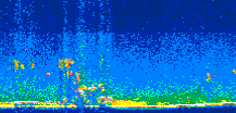/calipso-imagery/data/BROWSE/production/V5-00/2011-10-20/2011-10-20_19-14-26_V5.00_3_thmb.png image missing