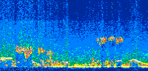 /calipso-imagery/data/BROWSE/production/V5-00/2011-10-20/2011-10-20_22-32-11_V5.00_2_thmb.png image missing