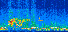 /calipso-imagery/data/BROWSE/production/V5-00/2011-10-22/2011-10-22_20-40-38_V5.00_2_thmb.png image missing