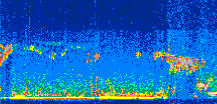 /calipso-imagery/data/BROWSE/production/V5-00/2011-10-23/2011-10-23_03-16-09_V5.00_3_thmb.png image missing