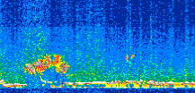 /calipso-imagery/data/BROWSE/production/V5-00/2011-10-23/2011-10-23_14-48-20_V5.00_2_thmb.png image missing
