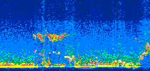 /calipso-imagery/data/BROWSE/production/V5-00/2011-10-24/2011-10-24_00-41-36_V5.00_3_thmb.png image missing