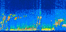 /calipso-imagery/data/BROWSE/production/V5-00/2011-10-24/2011-10-24_03-59-17_V5.00_3_thmb.png image missing