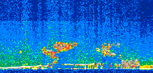 /calipso-imagery/data/BROWSE/production/V5-00/2011-10-24/2011-10-24_15-31-28_V5.00_2_thmb.png image missing