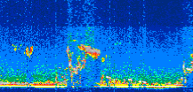 /calipso-imagery/data/BROWSE/production/V5-00/2011-10-24/2011-10-24_15-31-28_V5.00_3_thmb.png image missing