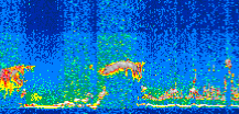 /calipso-imagery/data/BROWSE/production/V5-00/2011-10-24/2011-10-24_17-10-19_V5.00_2_thmb.png image missing