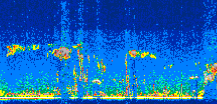 /calipso-imagery/data/BROWSE/production/V5-00/2011-10-25/2011-10-25_03-03-35_V5.00_3_thmb.png image missing
