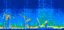 /calipso-imagery/data/BROWSE/production/V5-00/2011-10-25/2011-10-25_04-42-25_V5.00_3_thmb.png image missing