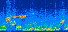 /calipso-imagery/data/BROWSE/production/V5-00/2011-10-25/2011-10-25_14-35-41_V5.00_3_thmb.png image missing
