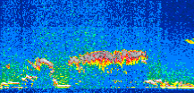 /calipso-imagery/data/BROWSE/production/V5-00/2011-11-30/2011-11-30_07-32-34_V5.00_2_thmb.png image missing