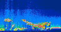 /calipso-imagery/data/BROWSE/production/V5-00/2011-11-30/2011-11-30_14-08-05_V5.00_4_thmb.png image missing