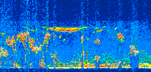 /calipso-imagery/data/BROWSE/production/V5-00/2011-12-04/2011-12-04_03-50-02_V5.00_3_thmb.png image missing