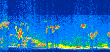 /calipso-imagery/data/BROWSE/production/V5-00/2011-12-04/2011-12-04_12-04-28_V5.00_3_thmb.png image missing