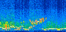 /calipso-imagery/data/BROWSE/production/V5-00/2011-12-04/2011-12-04_13-43-18_V5.00_2_thmb.png image missing