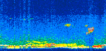 /calipso-imagery/data/BROWSE/production/V5-00/2011-12-04/2011-12-04_13-43-18_V5.00_3_thmb.png image missing