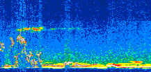 /calipso-imagery/data/BROWSE/production/V5-00/2011-12-28/2011-12-28_09-36-05_V5.00_3_thmb.png image missing