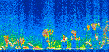 /calipso-imagery/data/BROWSE/production/V5-00/2011-12-28/2011-12-28_17-50-31_V5.00_2_thmb.png image missing