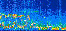 /calipso-imagery/data/BROWSE/production/V5-00/2011-12-28/2011-12-28_17-50-31_V5.00_3_thmb.png image missing