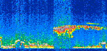 /calipso-imagery/data/BROWSE/production/V5-00/2011-12-28/2011-12-28_22-47-12_V5.00_2_thmb.png image missing