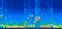 /calipso-imagery/data/BROWSE/production/V5-00/2011-12-29/2011-12-29_15-16-04_V5.00_3_thmb.png image missing