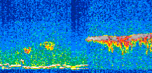 /calipso-imagery/data/BROWSE/production/V5-00/2011-12-29/2011-12-29_23-30-30_V5.00_2_thmb.png image missing