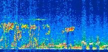 /calipso-imagery/data/BROWSE/production/V5-00/2011-12-30/2011-12-30_17-38-12_V5.00_3_thmb.png image missing
