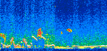 /calipso-imagery/data/BROWSE/production/V5-00/2011-12-30/2011-12-30_19-17-08_V5.00_2_thmb.png image missing