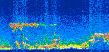 /calipso-imagery/data/BROWSE/production/V5-00/2012-02-05/2012-02-05_06-26-33_V5.00_3_thmb.png image missing