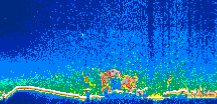 /calipso-imagery/data/BROWSE/production/V5-00/2012-02-05/2012-02-05_22-55-25_V5.00_1_thmb.png image missing