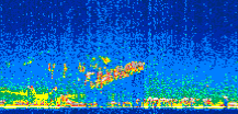 /calipso-imagery/data/BROWSE/production/V5-00/2012-02-10/2012-02-10_15-00-10_V5.00_3_thmb.png image missing