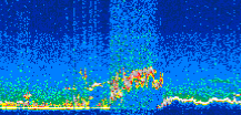 /calipso-imagery/data/BROWSE/production/V5-00/2012-02-10/2012-02-10_19-56-51_V5.00_3_thmb.png image missing