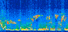 /calipso-imagery/data/BROWSE/production/V5-00/2012-02-24/2012-02-24_02-03-13_V5.00_2_thmb.png image missing