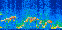 /calipso-imagery/data/BROWSE/production/V5-00/2012-03-30/2012-03-30_00-59-15_V5.00_3_thmb.png image missing