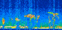 /calipso-imagery/data/BROWSE/production/V5-00/2012-03-30/2012-03-30_07-34-46_V5.00_2_thmb.png image missing