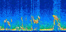 /calipso-imagery/data/BROWSE/production/V5-00/2012-04-12/2012-04-12_00-30-12_V5.00_2_thmb.png image missing