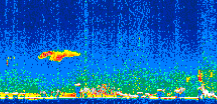 /calipso-imagery/data/BROWSE/production/V5-00/2012-04-12/2012-04-12_21-55-49_V5.00_3_thmb.png image missing