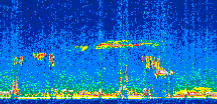 /calipso-imagery/data/BROWSE/production/V5-00/2012-04-14/2012-04-14_15-08-05_V5.00_2_thmb.png image missing
