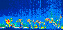 /calipso-imagery/data/BROWSE/production/V5-00/2012-05-23/2012-05-23_23-31-49_V5.00_1_thmb.png image missing