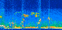 /calipso-imagery/data/BROWSE/production/V5-00/2012-05-31/2012-05-31_01-17-01_V5.00_2_thmb.png image missing