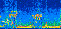 /calipso-imagery/data/BROWSE/production/V5-00/2012-05-31/2012-05-31_02-55-56_V5.00_2_thmb.png image missing