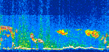 /calipso-imagery/data/BROWSE/production/V5-00/2012-05-31/2012-05-31_02-55-56_V5.00_3_thmb.png image missing