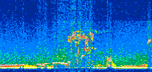 /calipso-imagery/data/BROWSE/production/V5-00/2012-05-31/2012-05-31_19-24-43_V5.00_2_thmb.png image missing