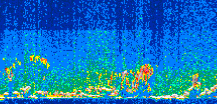 /calipso-imagery/data/BROWSE/production/V5-00/2012-05-31/2012-05-31_22-42-34_V5.00_3_thmb.png image missing