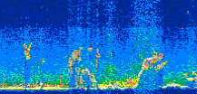 /calipso-imagery/data/BROWSE/production/V5-00/2012-09-03/2012-09-03_03-46-58_V5.00_3_thmb.png image missing
