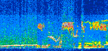 /calipso-imagery/data/BROWSE/production/V5-00/2012-09-03/2012-09-03_08-43-34_V5.00_2_thmb.png image missing