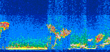 /calipso-imagery/data/BROWSE/production/V5-00/2012-09-10/2012-09-10_03-52-09_V5.00_3_thmb.png image missing
