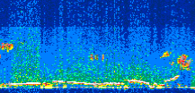 /calipso-imagery/data/BROWSE/production/V5-00/2012-09-10/2012-09-10_21-59-46_V5.00_3_thmb.png image missing